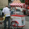 Tag der FFW 2008